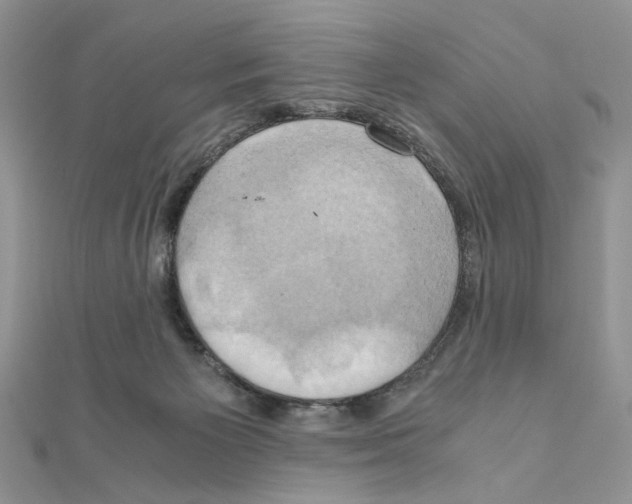 X0000110970125200907310937