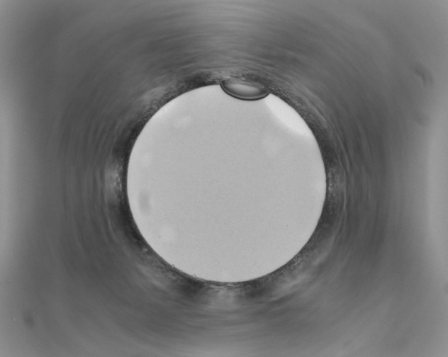 X0000110970127200907310937