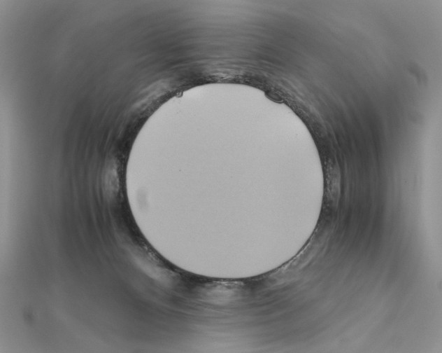 X0000110970128200907310937