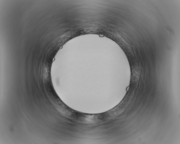 X0000110970130200907310937