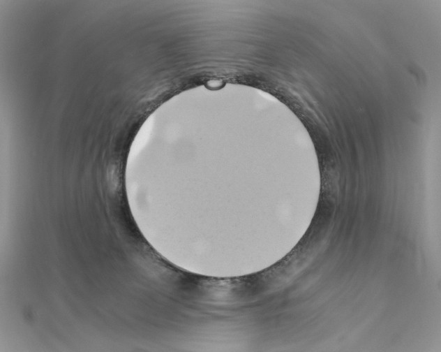 X0000110970131200907310937