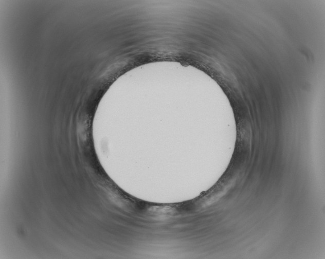 X0000110970133200907310937