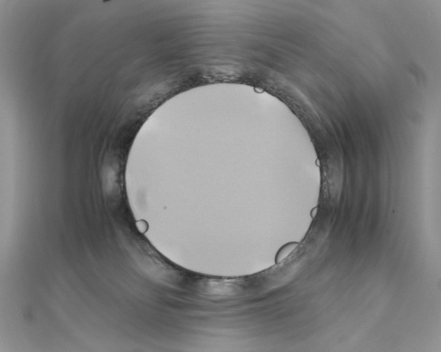 X0000110970134200907310937