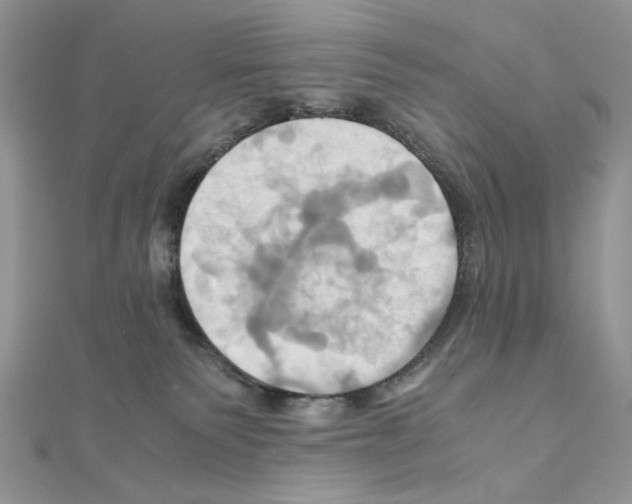 X0000110970135200907310937