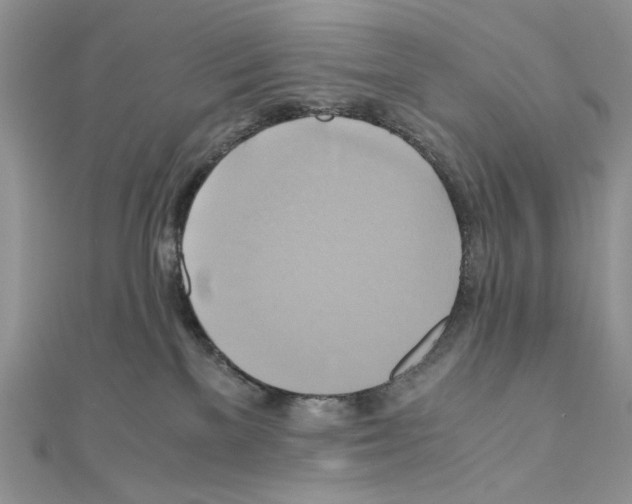 X0000110970137200907310937