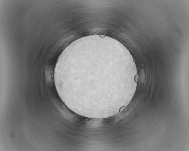 X0000110970138200907310937
