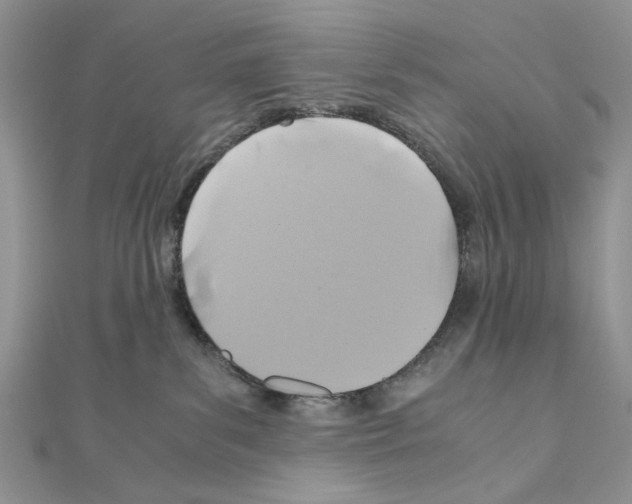 X0000110970139200907310937