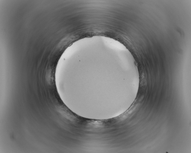 X0000110970140200907310937