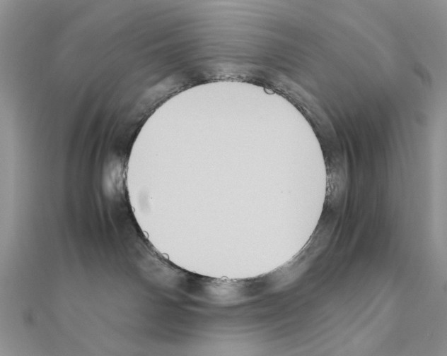 X0000110970142200907310937