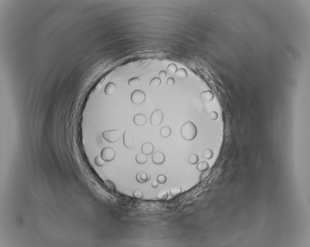 X0000110970145200907310936
