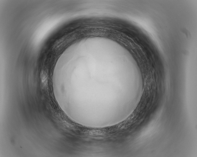 X0000110970146200907310936