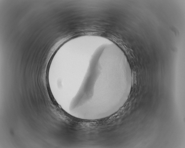 X0000110970147200907310936