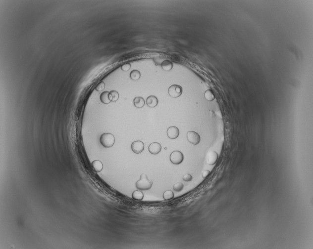 X0000110970149200907310936