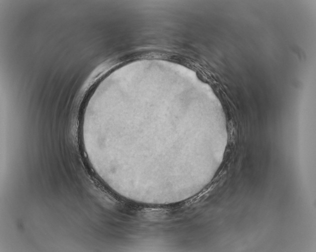 X0000110970150200907310936