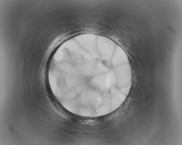 X0000110970151200907310936