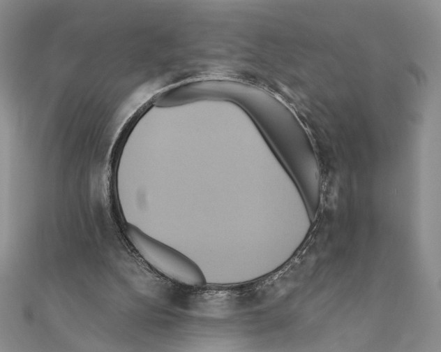 X0000110970152200907310936