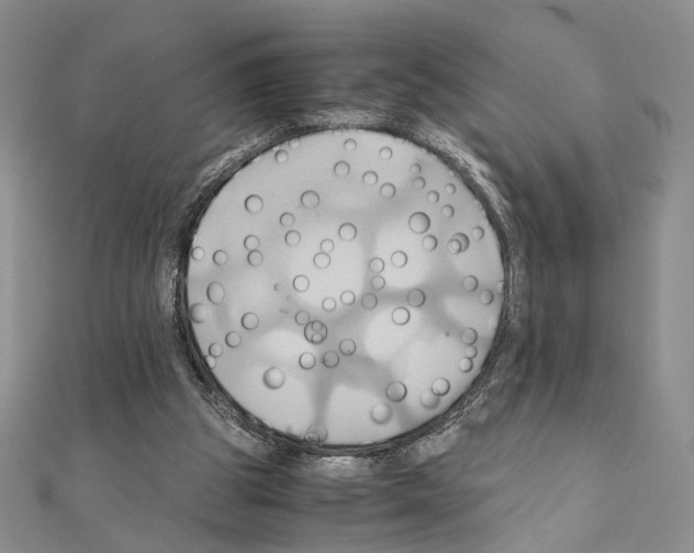 X0000110970153200907310936