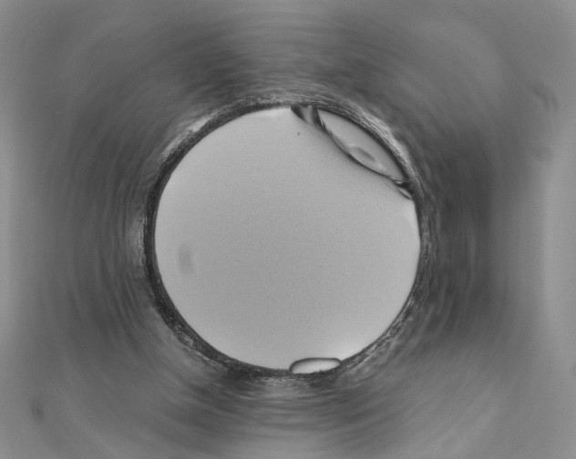 X0000110970154200907310936