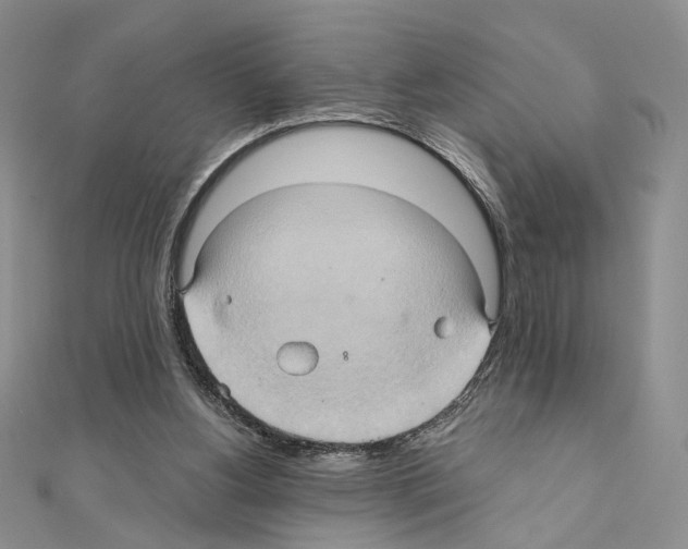 X0000110970156200907310936