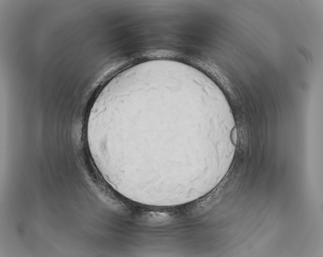 X0000110970159200907310936