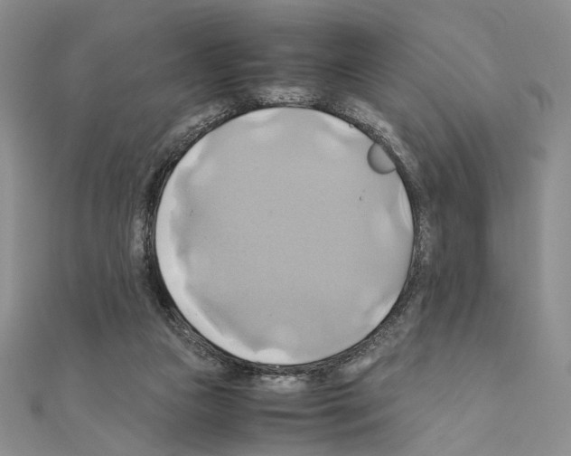 X0000110970161200907310936