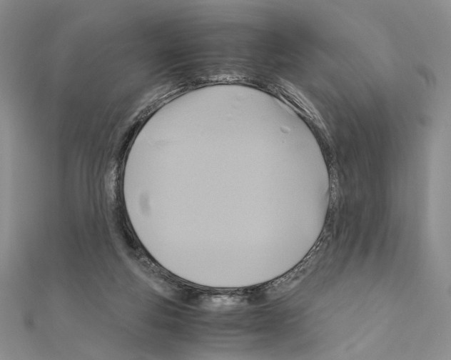 X0000110970163200907310936