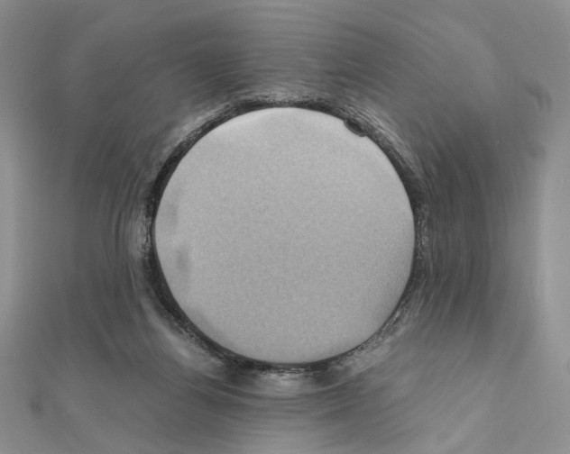X0000110970164200907310936