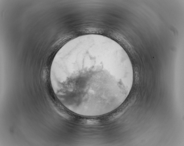 X0000110970165200907310936