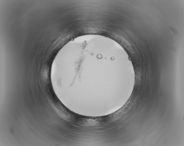 X0000110970166200907310936