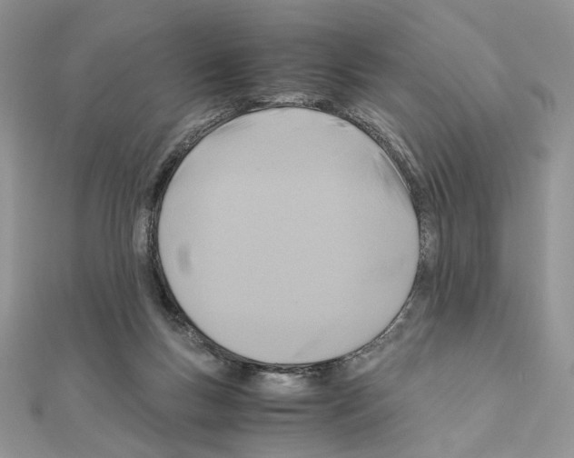 X0000110970167200907310936