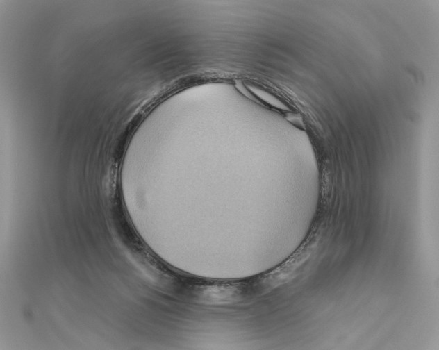 X0000110970168200907310936