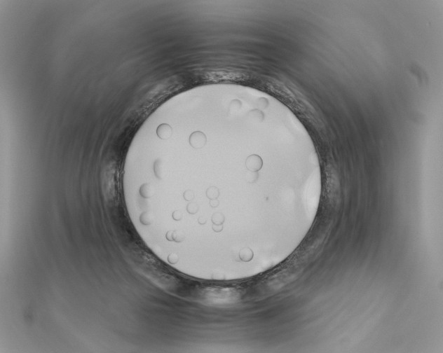 X0000110970169200907310936