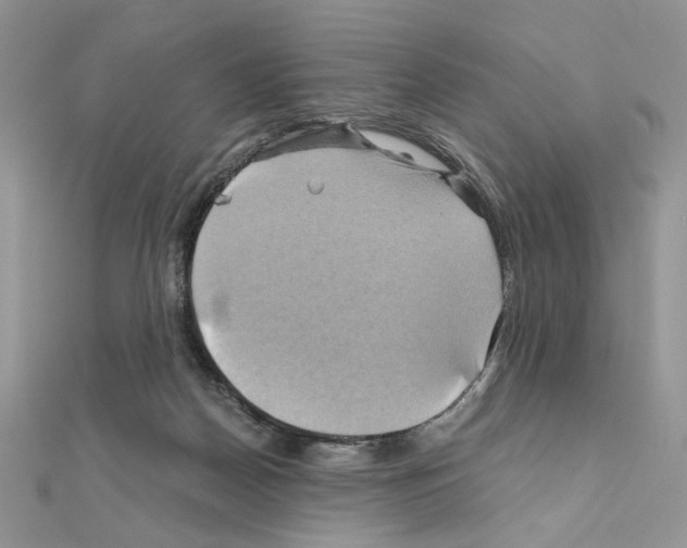 X0000110970170200907310936