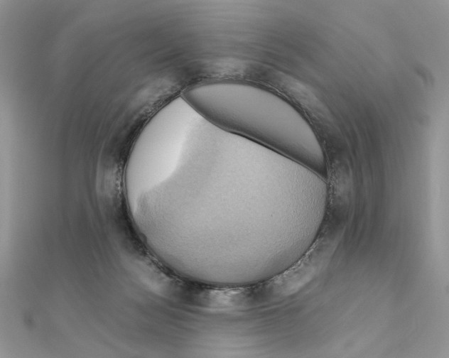 X0000110970172200907310937