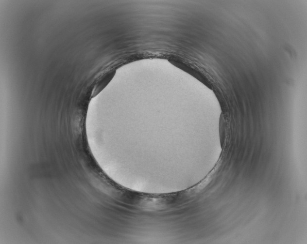 X0000110970174200907310937