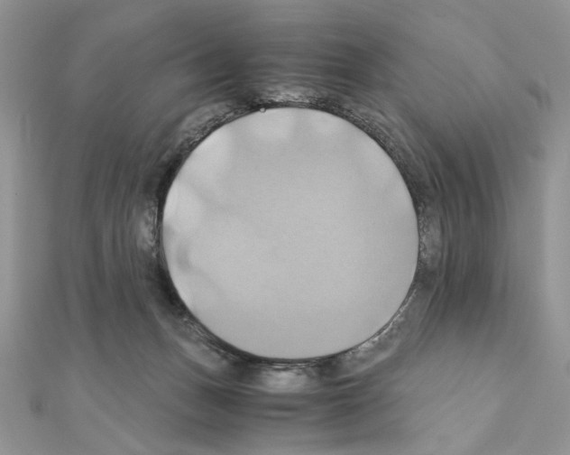 X0000110970175200907310937