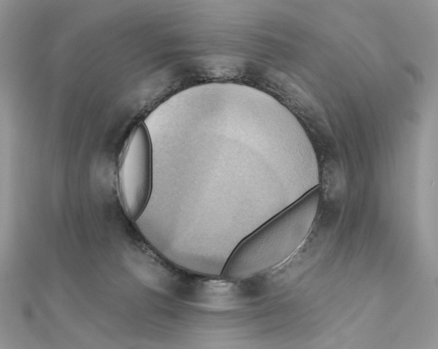 X0000110970176200907310937