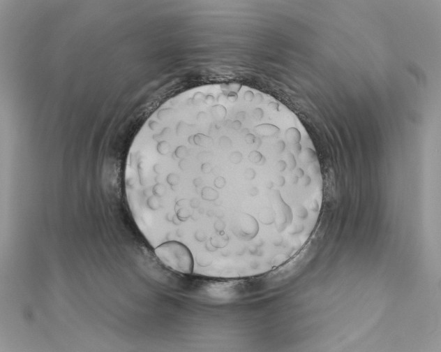 X0000110970178200907310937