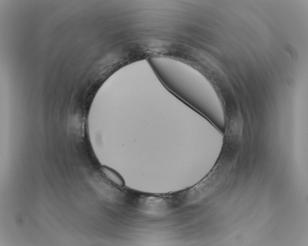 X0000110970180200907310937