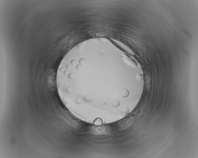 X0000110970181200907310937