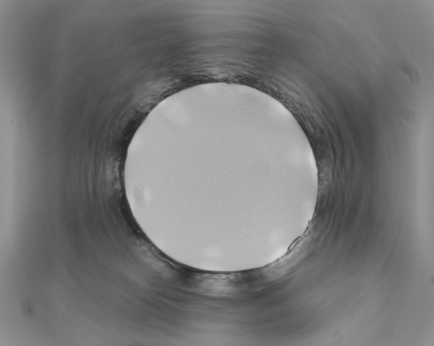 X0000110970182200907310937