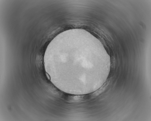 X0000110970184200907310937