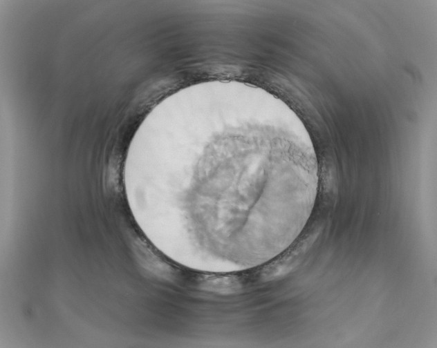 X0000110970185200907310937