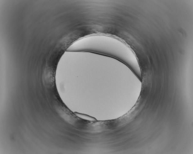 X0000110970186200907310937