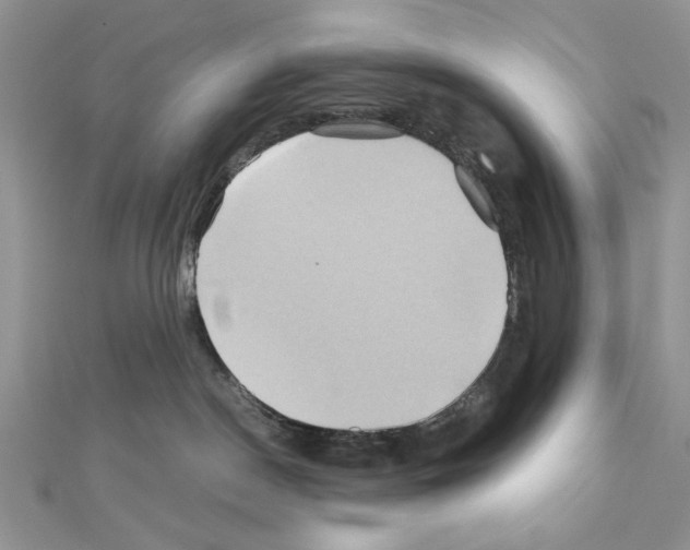 X0000110970190200907310937