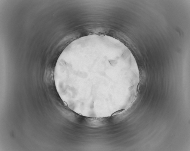 X0000110970191200907310937