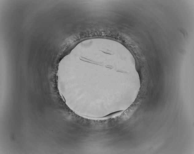 X0000110970192200907310937