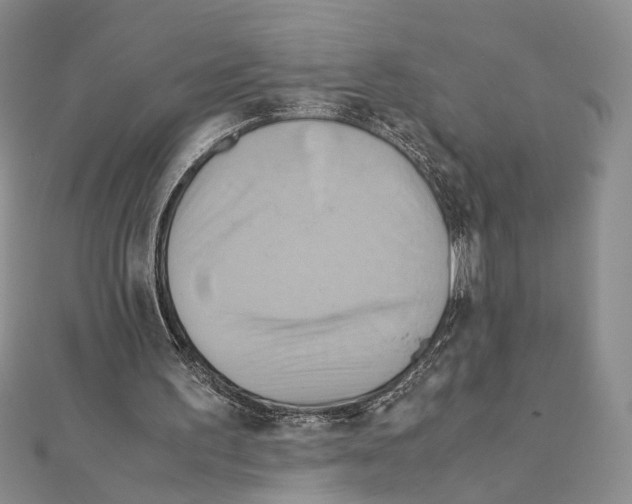 X0000110970195200907310936