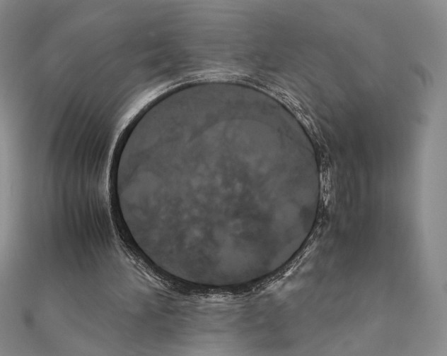 X0000110970196200907310936