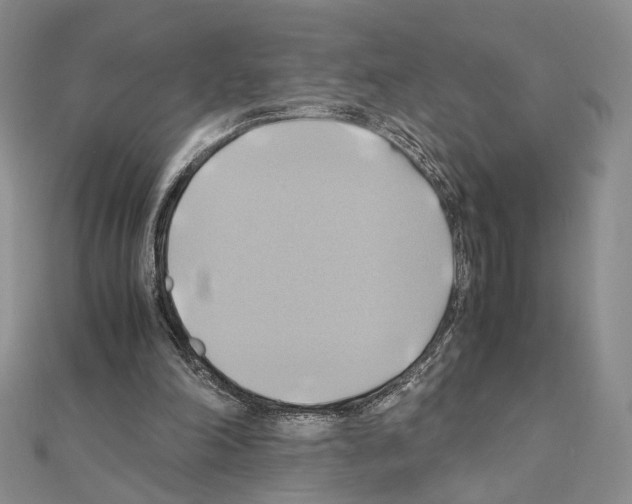 X0000110970198200907310936